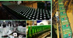 Qui định về kiểm tra chất lượng nước dùng sản xuất bia